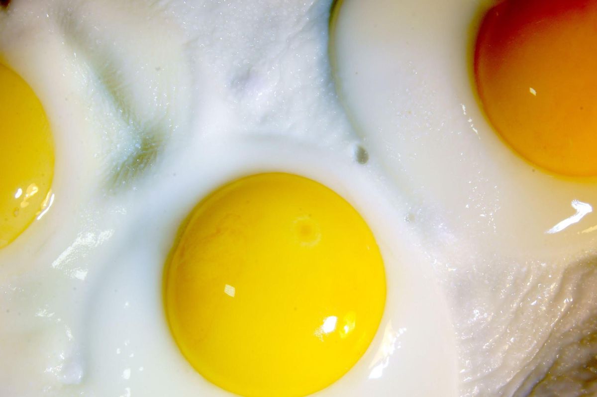L’œuf sur le plat parfait doit présenter un blanc à la teinte laiteuse et un jaune brillant. 