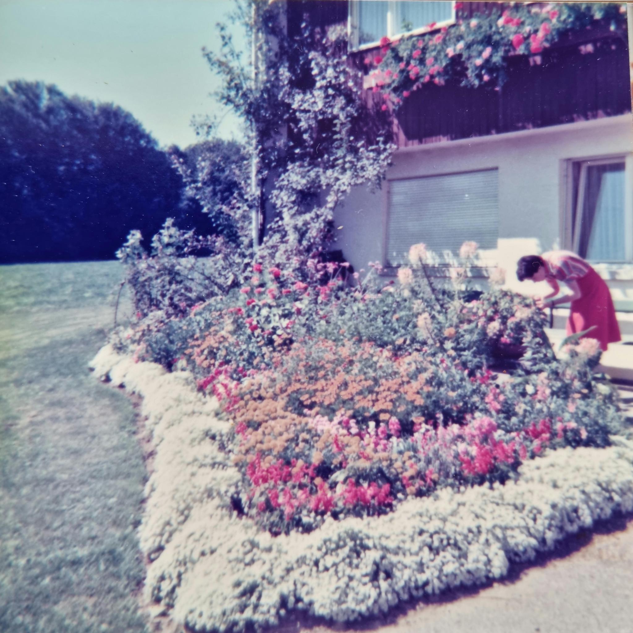 Hanni Maurer hegte und pflegte den Breitenloohof.