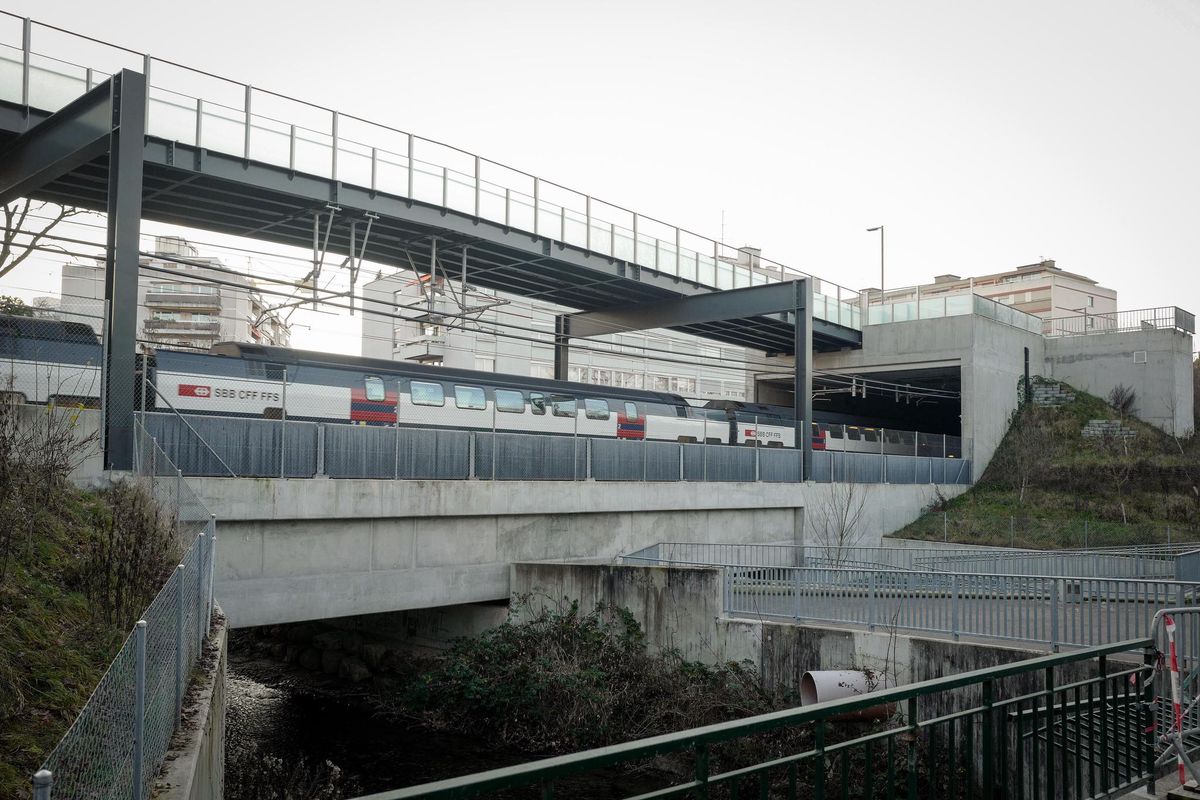 Des riverains se plaignent du bruit causé par les passages du Léman Express sur le pont ouvert de la Seymaz, entre Chêne-Bourg et Chêne-Bougeries. À terme, l’ouvrage devrait être couvert.