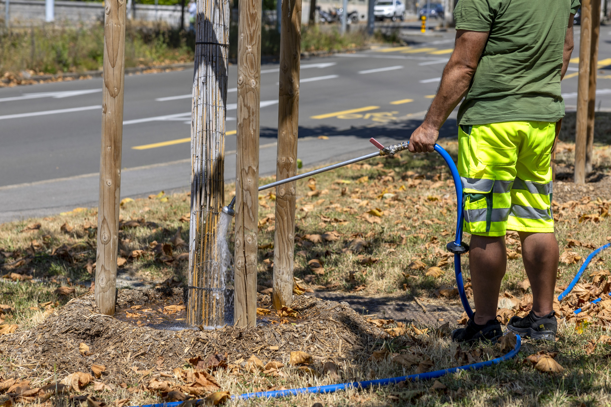Conséquences de la sécheresse: En ville, l’abattage d’arbres frappés par la canicule s’étalera sur le long terme