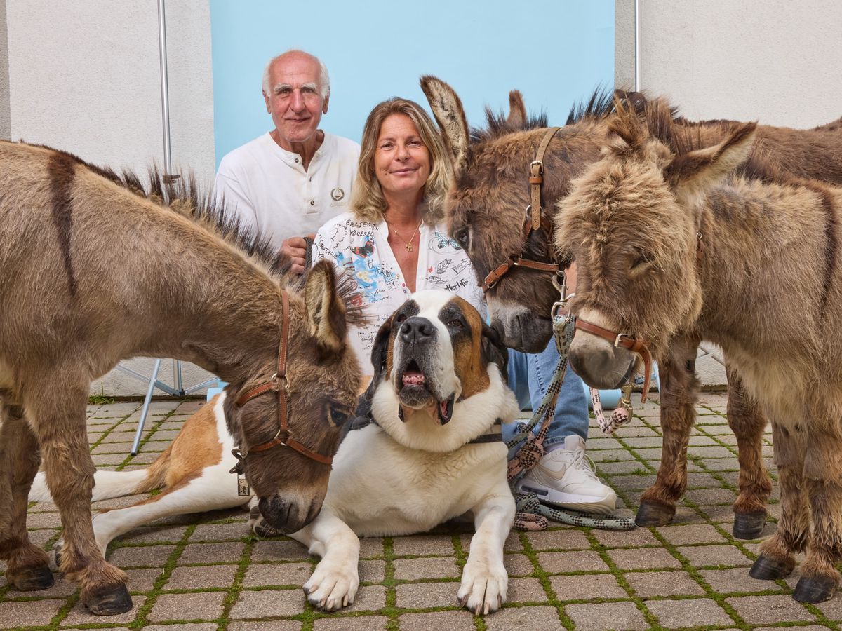 Servion, le 4 mai 2024. Mon animal et moi : Véronique (au centre) avec Franco, son employé, Minus, le St-Bernard et les mini ânes de g. à d. Balthazar, Gaspard et Melchior.     Photo Yvain Genevay / Le Matin Dimanche