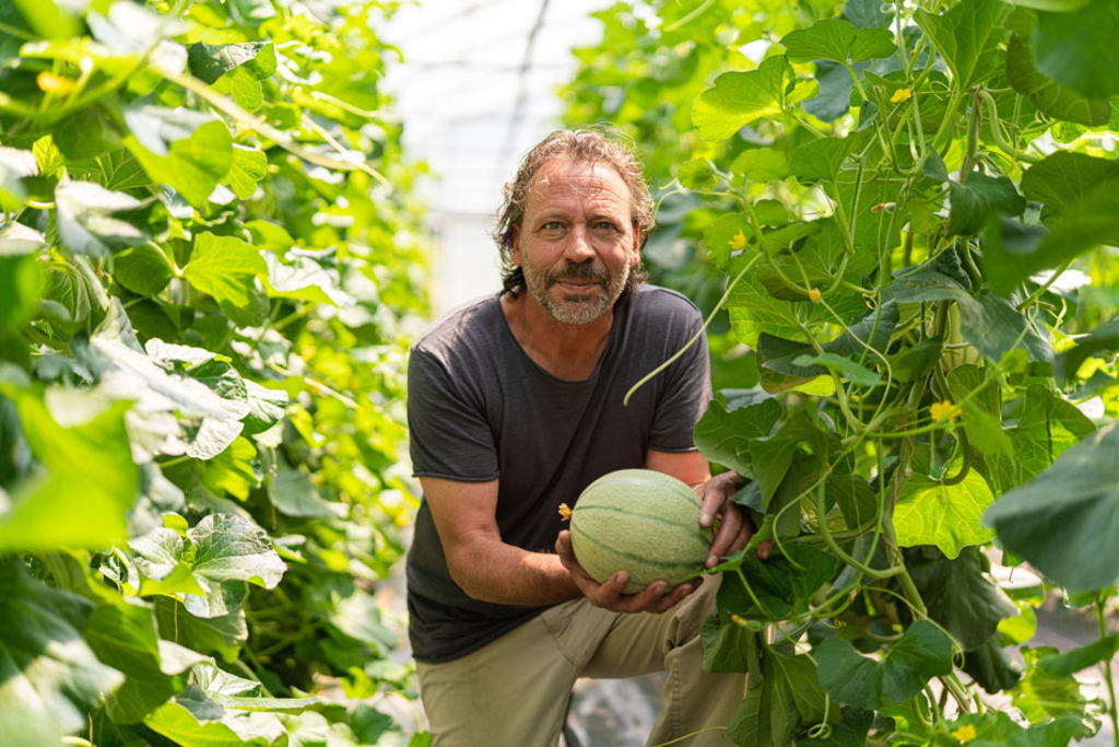 Das Geheimnis der Melonen aus Graubünden