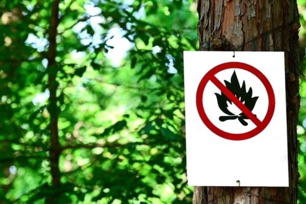 Fribourg autorise à nouveau les feux en forêt