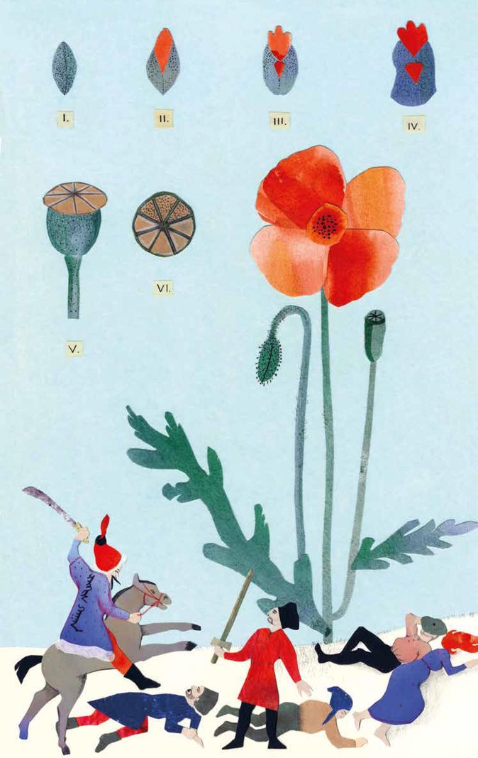 Le coquelicot, ou rose de cochon, pavot coq, fleur de tonnerre, etc., disparu un temps sous la pression des pesticides, a réussi désormais à surmonter leur présence.