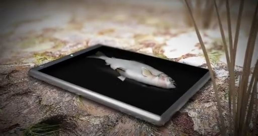 So sehen Berner Filmemacher die Welt im Jahre 2030