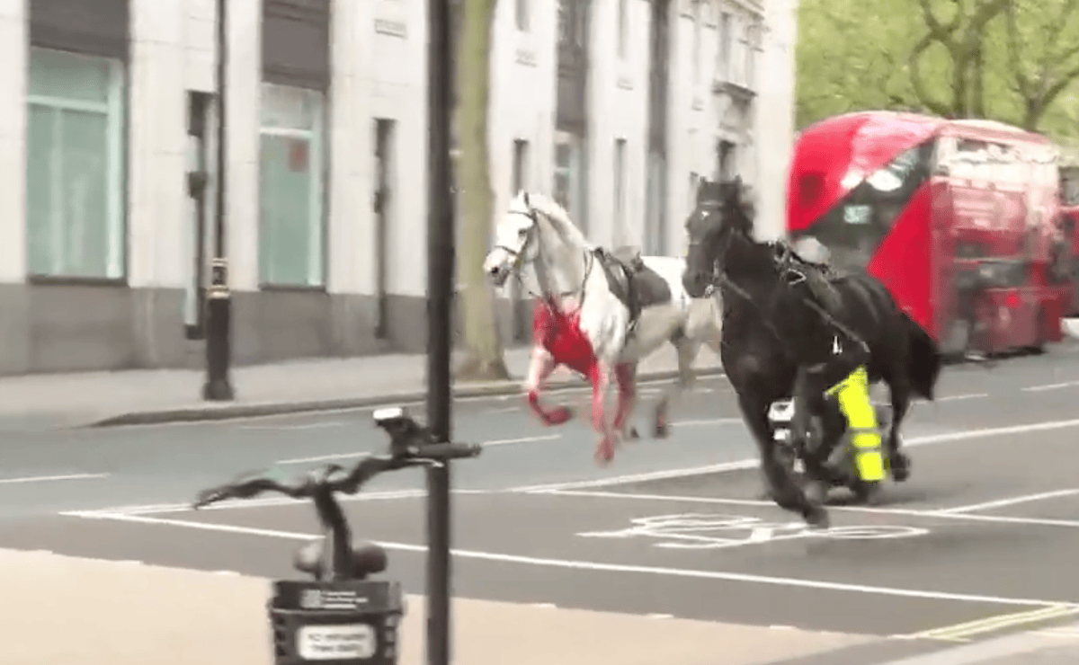 Deux chevaux galopent dans Londres
