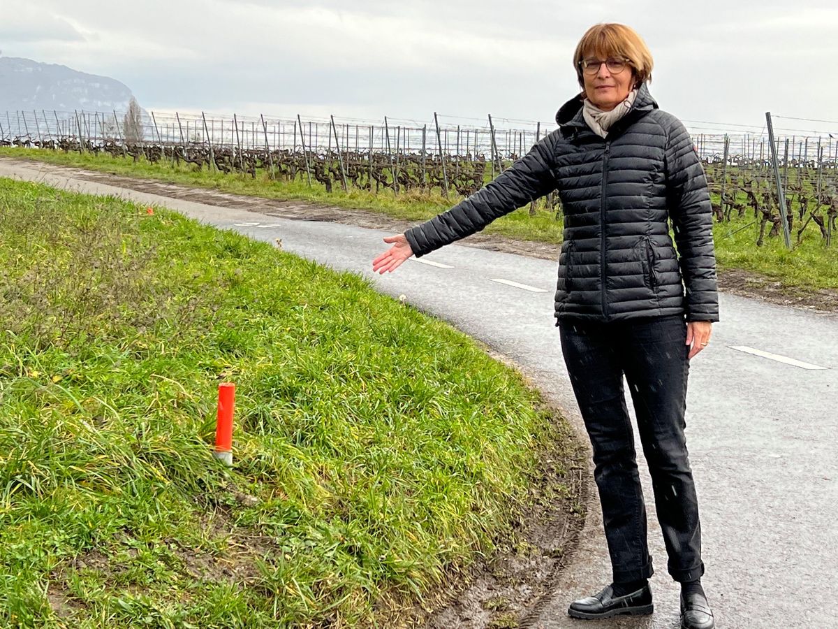 Anne-Françoise Morel, maire de Jussy devant un des poteaux vandalisés.
