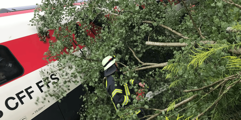 SBB-Zug mit 300 Passagieren von Baum getroffen