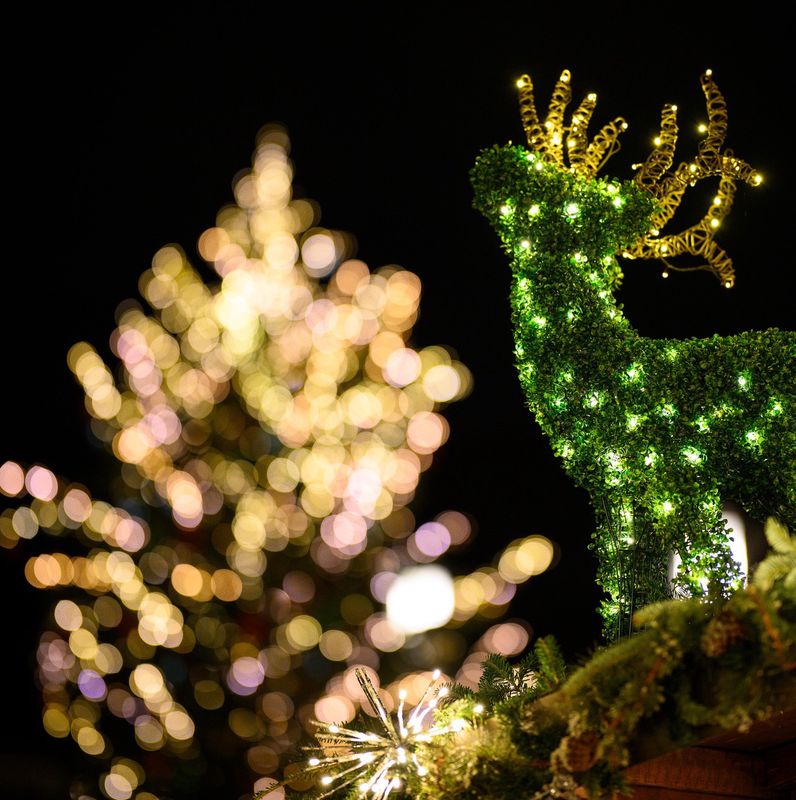 Weihnachtsdekoration auf dem Münsterplatz in Basel mit beleuchtetem Rentier und Lichterbaum im Hintergrund.