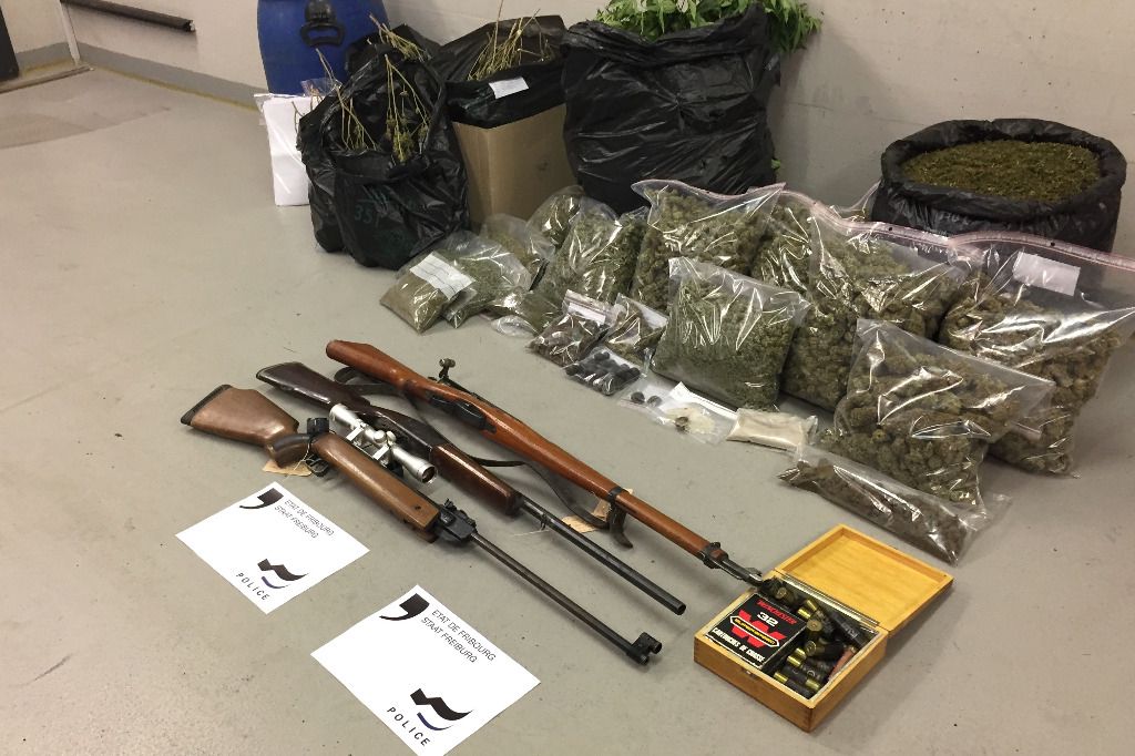 200 plants de chanvre saisis à Vaulruz