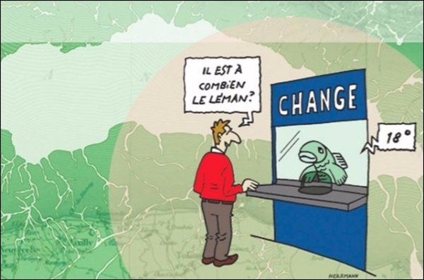 Capture d'écran du site monnaie-leman.org