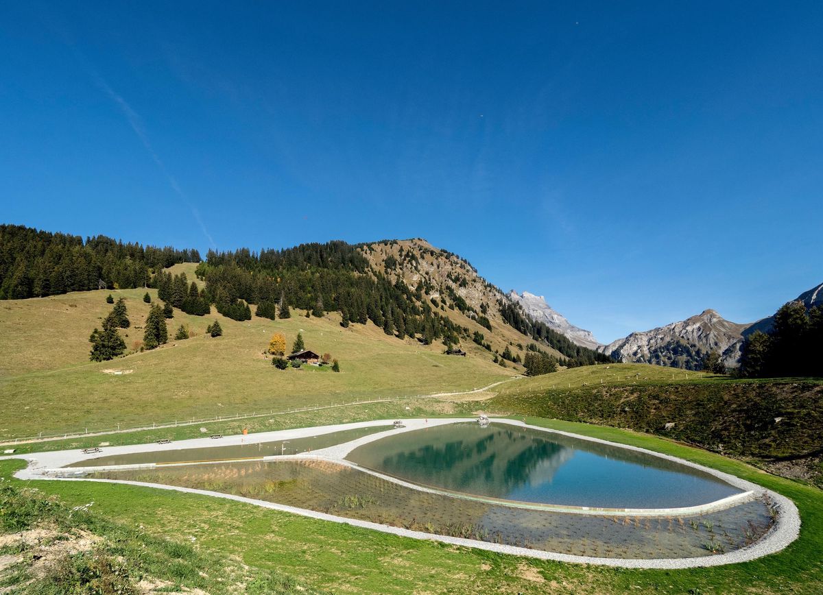 Le très apprécié et bien aménagé lac naturel de Frience sur la commune de Gryon.