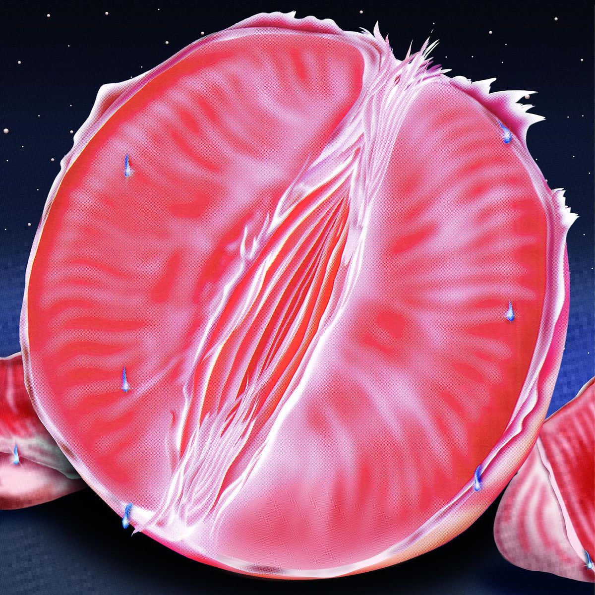 Illustration de Luca Schenardi pour l’album «Wet» du duo féminin Ester Poly.