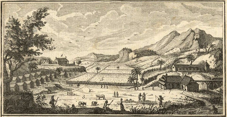 1776-un-yverdonnois-revient-des-colonies-avec-ses-esclaves-24-heures