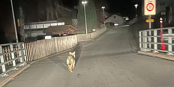 Patrick und Anja Loretz mit ihren fünf Kindern. Hinten beim Zaun riss ein Wolf ein Reh – gleich neben dem Sandkasten.