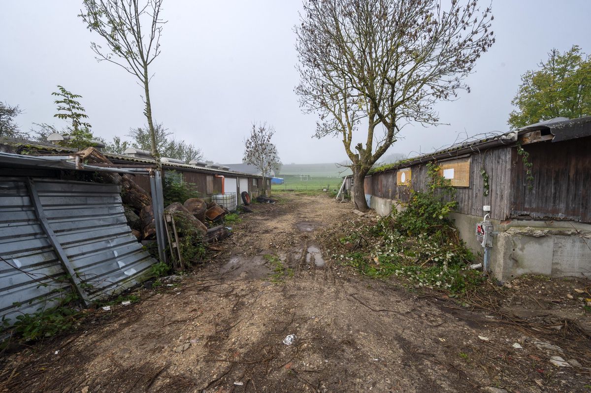 Ces baraquements en piteux état sont devenus le théâtre d’une guerre de voisinage entre leurs locataires, alors qu’un tiers tente de récupérer la jouissance du terrain.