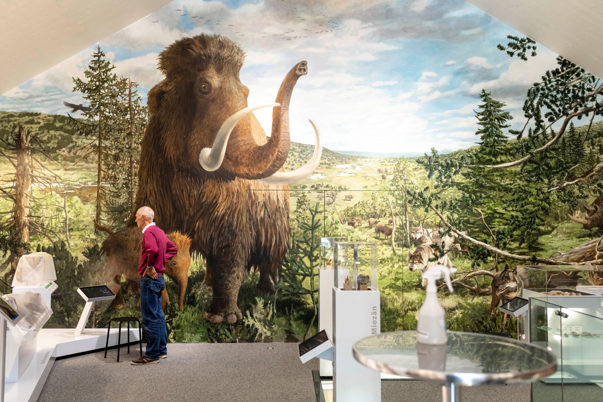 Damit das Mammutmuseum in Niederweningen wieder öffnen durfte, mussten Gesundheitsmassnahmen eingeführt werden.