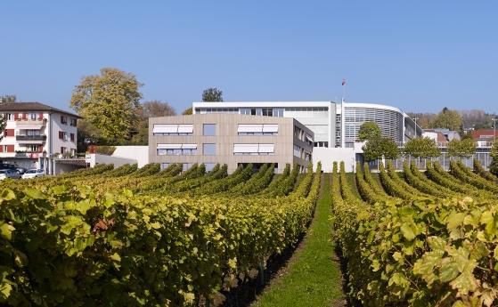 Les différentes réalisations scolaires s’enchaînent en escalier: le collège de l’Esplanade en haut, le petit collège construit en 2014 en dessous, et la parcelle de vigne sur laquelle est prévu le nouveau projet.