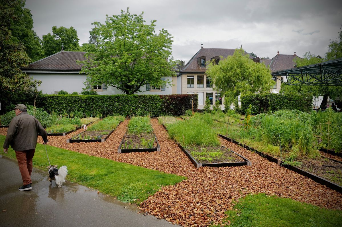 Le potager s’étend sur 1700 m², dont 250 m² cultivables, à proximité de l’entrée située sur la rue Alfred-Bertrand, un espace où existaient jadis une petite mare et un jardin à l’anglaise, d’une floraison exclusivement blanche.