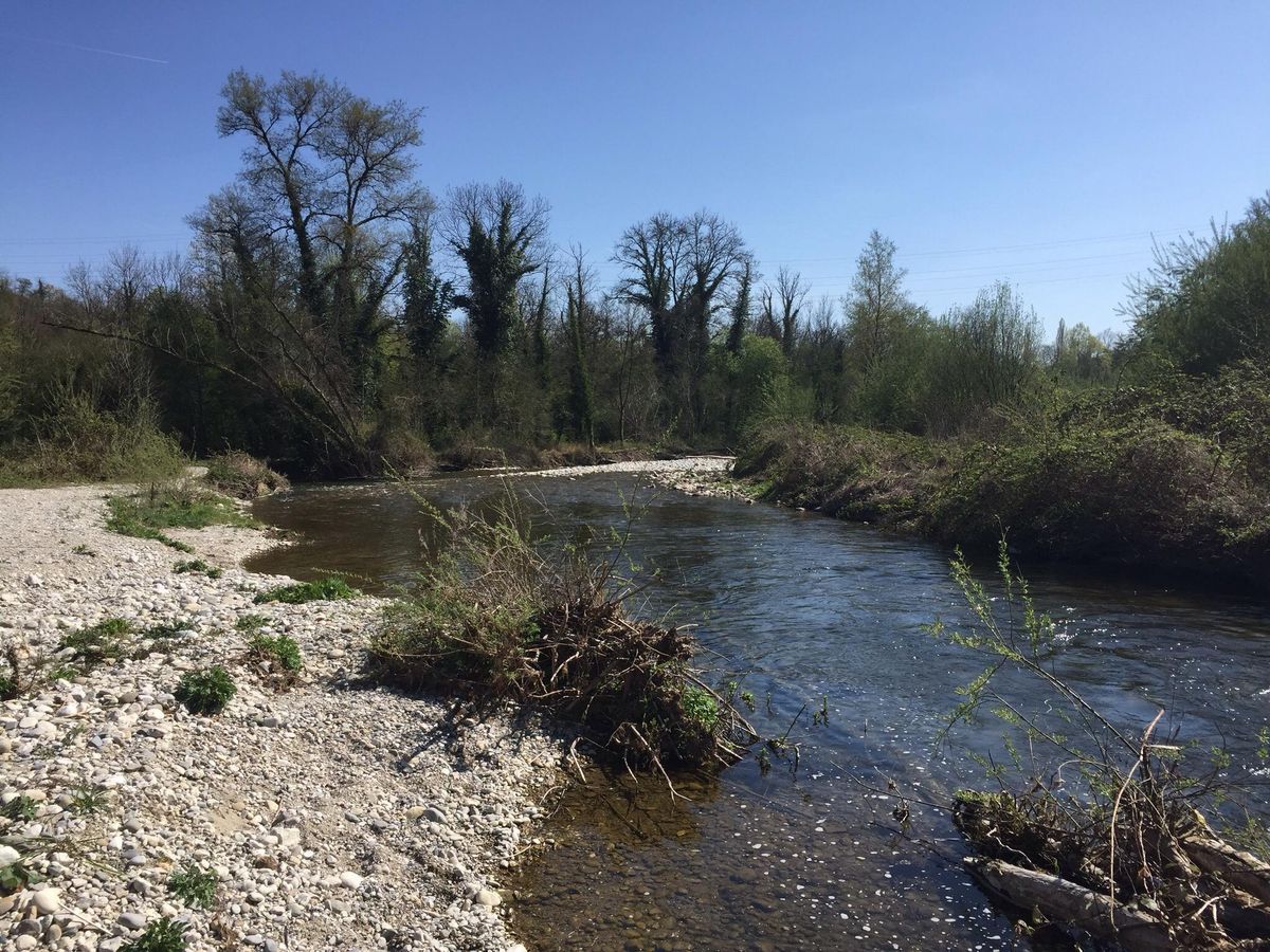 L’Allondon, émissaire du Roulave qui s’y jette un peu en amont de ce site, entre Dardagny et Russin.