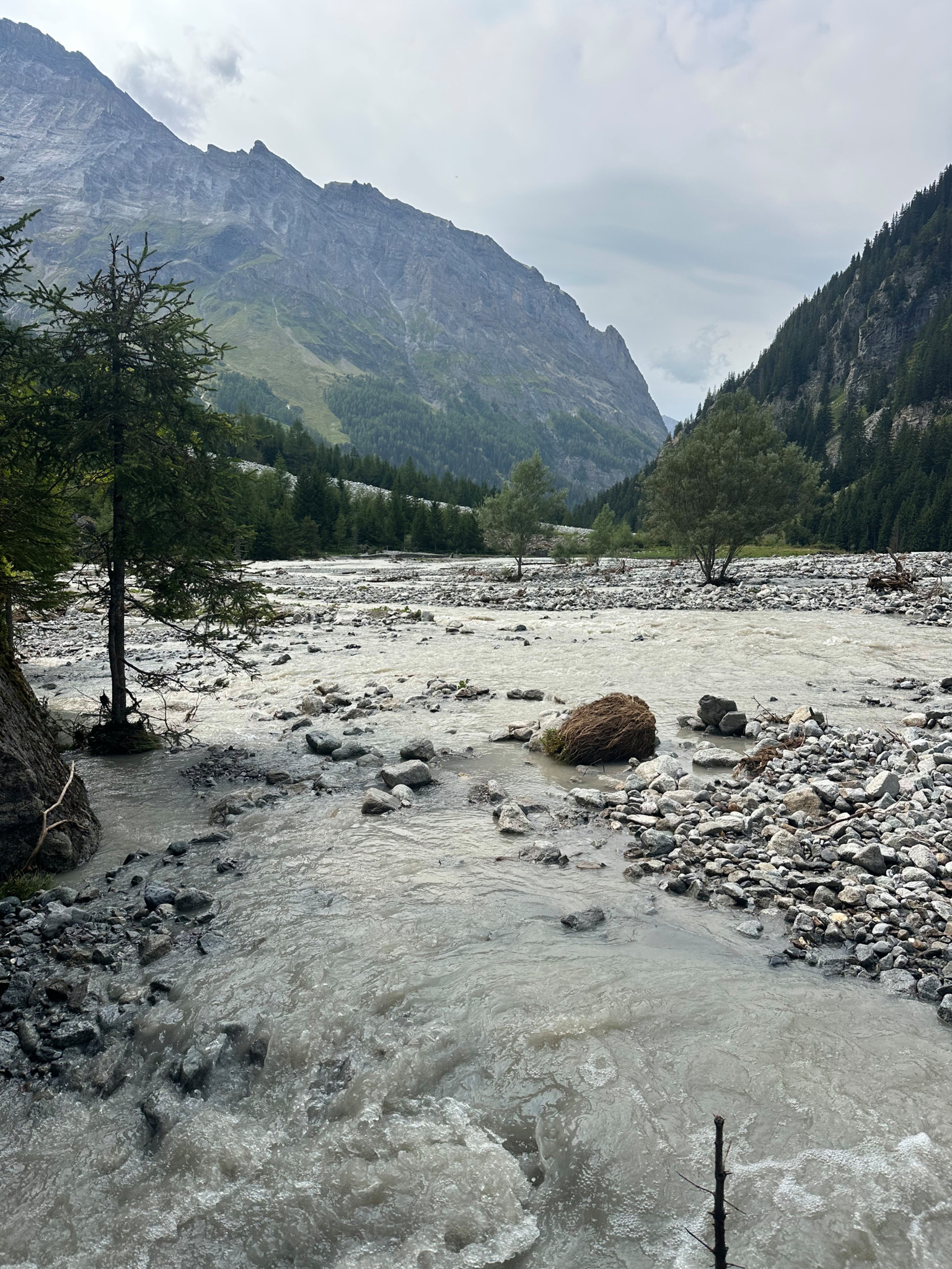 Bergfluss mit klarem Wasser fliesst durch eine felsige Landschaft, umgeben von Bäumen und hohen Bergen im Hintergrund.