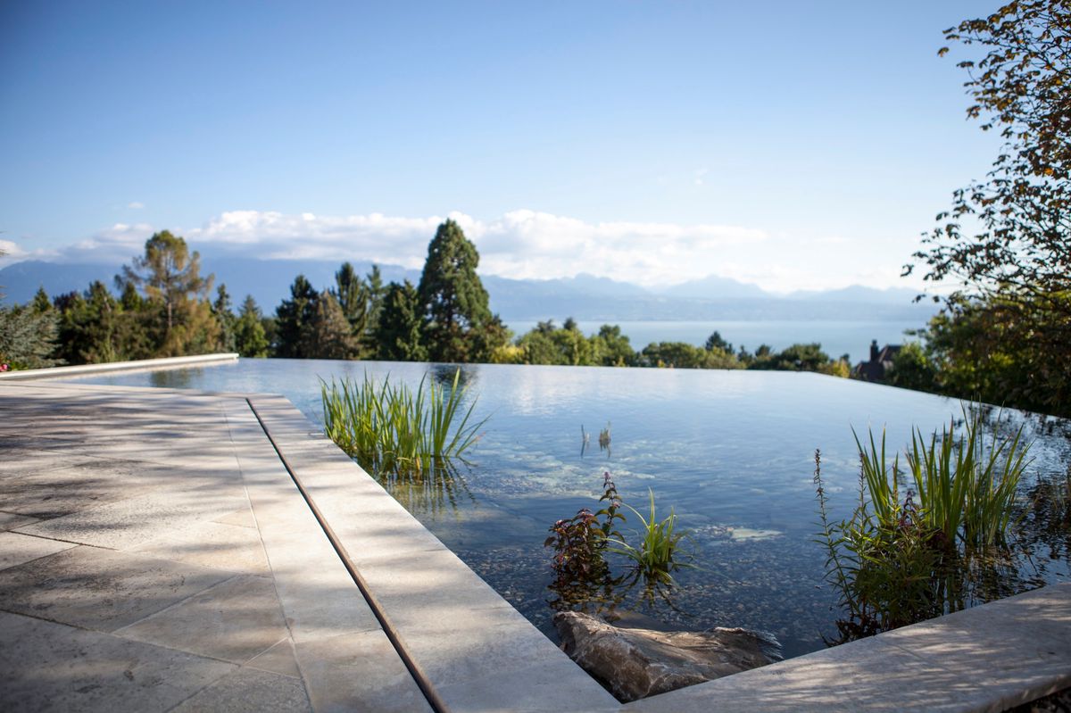 Tout savoir sur les piscines naturelles