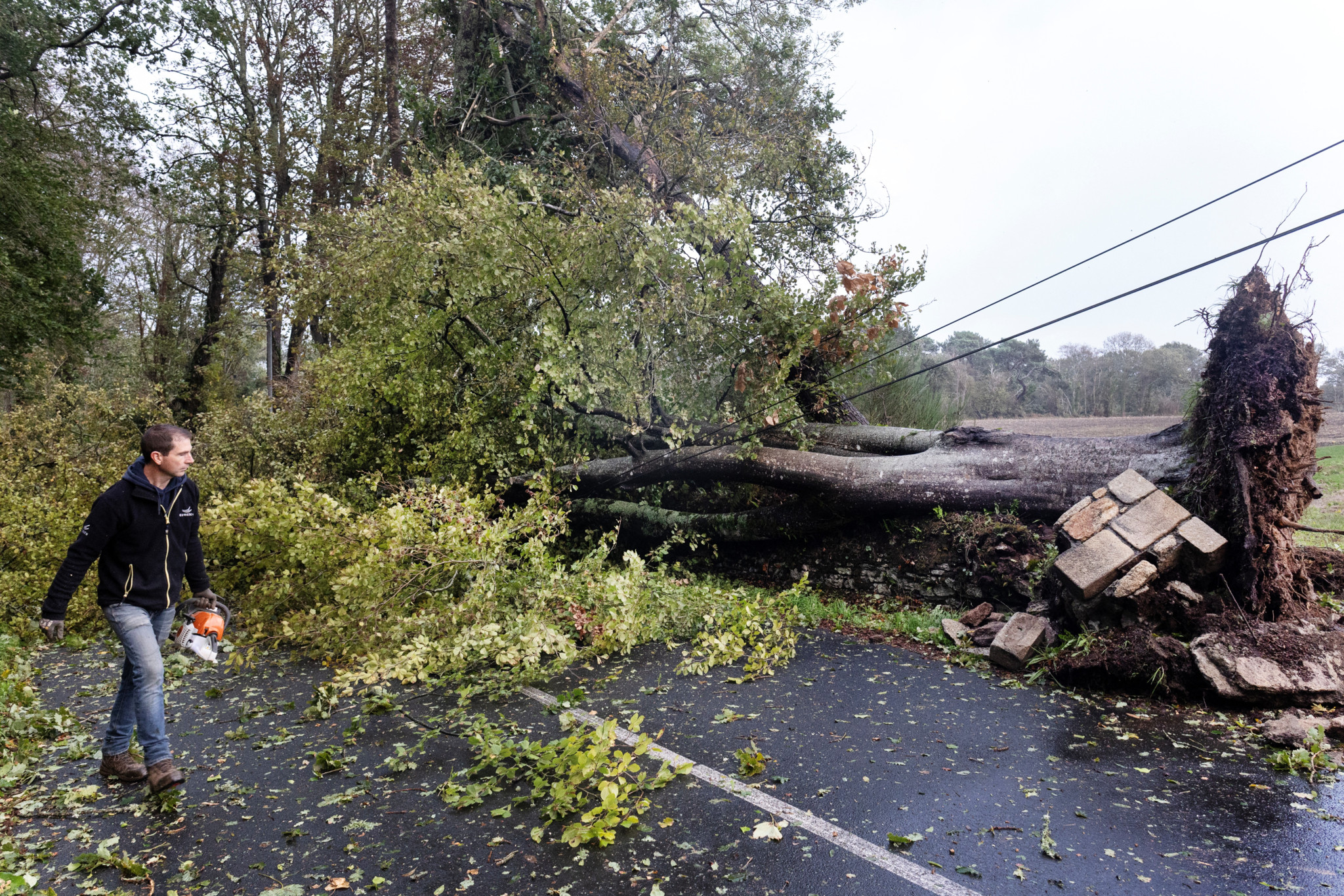 Image accompagnant « Coupures de courant: La tempête «Austen» prive près de 300’000 foyers d’électricité en France ».