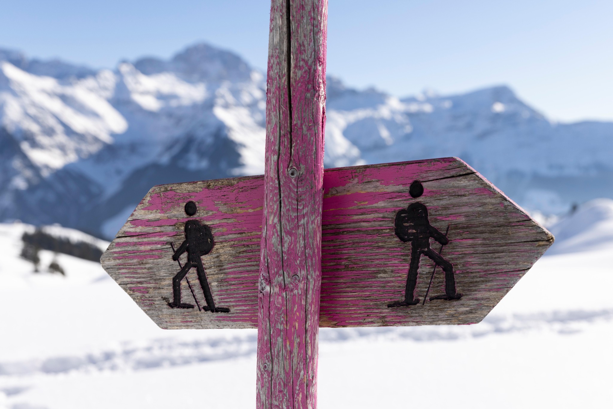 Ausgeschildert: Violette Wegweiser markieren die Schneeschuhrouten.