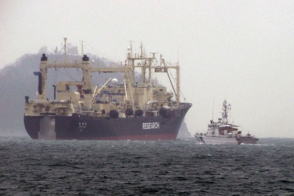 Le Japon reprend la chasse à la baleine