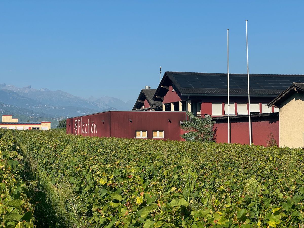 Vue d'un grand bâtiment rouge au milieu de vignes luxuriantes avec des montagnes en arrière-plan par une journée ensoleillée.