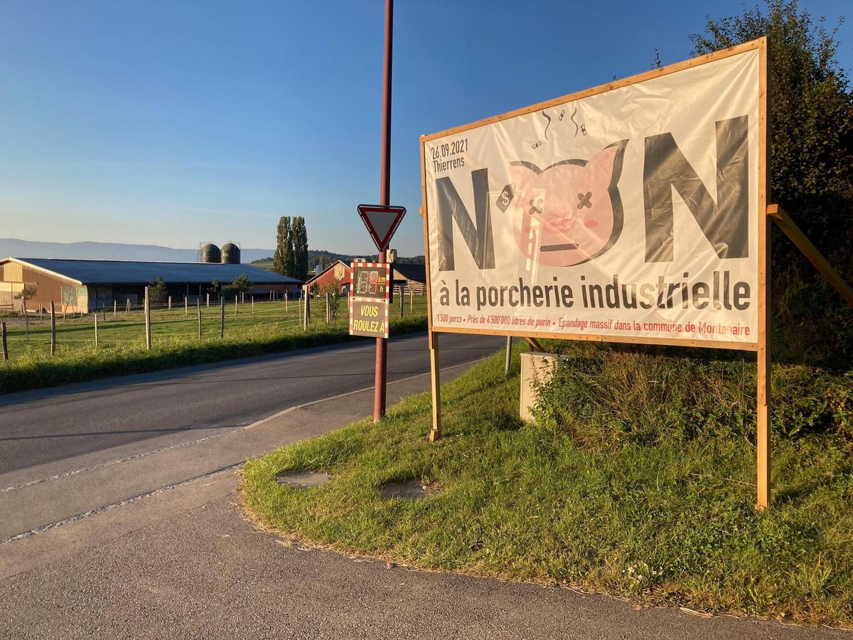 Le plan d’affectation de la porcherie de Thierrens est refusé pour 16 voix