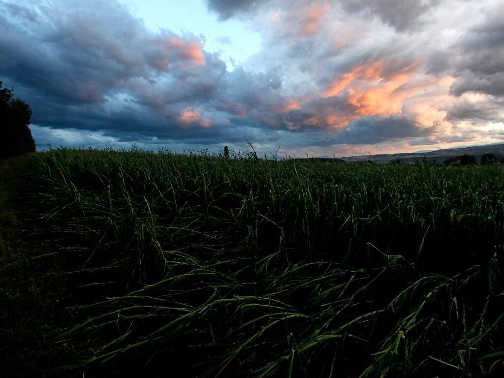 Des orages accompagnés de grêle ont causé de nombreux dégâts dans le canton de Lucerne. (photo symbole)