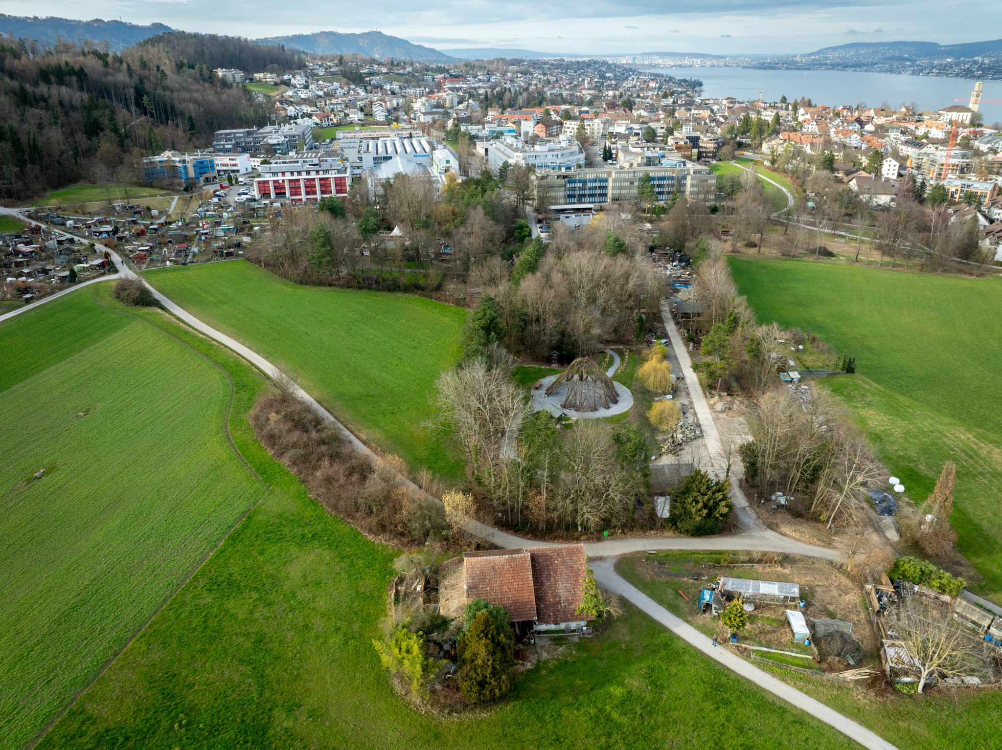Abstimmung in Thalwil: Ein Gartenbauer baut jahrelang illegal – ein Gestaltungsplan soll nun Ordnung schaffen