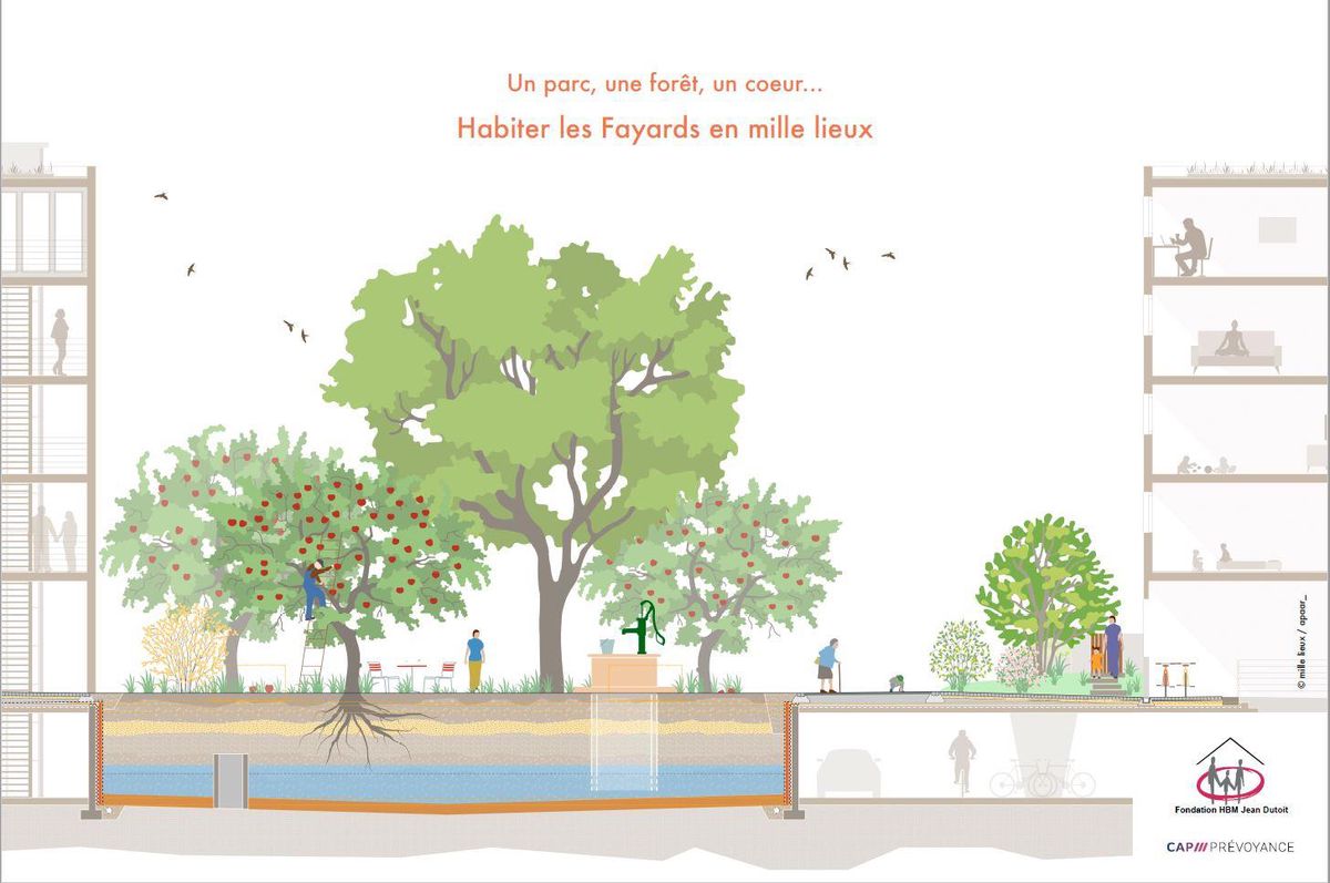 L’espace central tel que l’imagine «Mille Lieux», le projet qui a remporté le concours d’aménagement extérieur porté par la Fondation Jean Dutoit et la CAP Prévoyance. Un puits sera creusé afin de recueillir l’eau de pluie qui irriguera la végétation en surface.