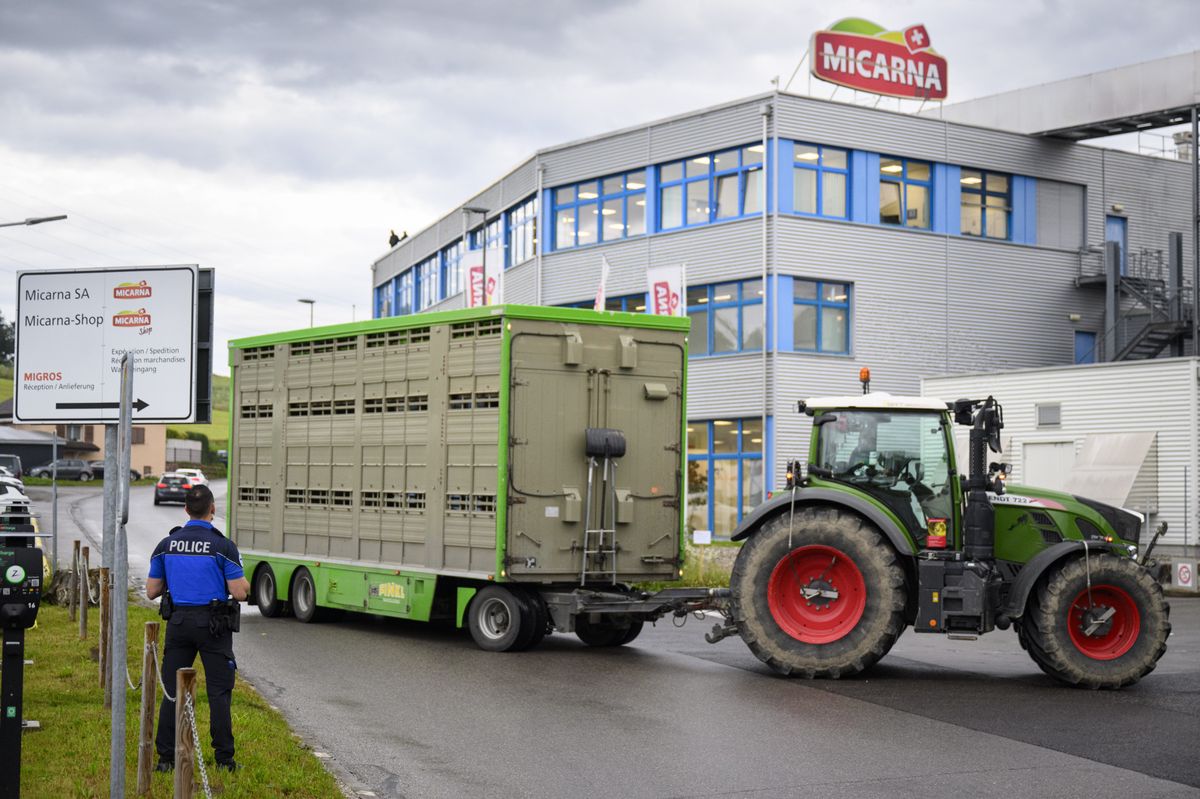 La police cantonale fribourgeoise sur les lieux de l’action menée par le collectif 269 Libération animale , dans l’usine de transformation de poulets à Courtepin (FR), lundi matin.