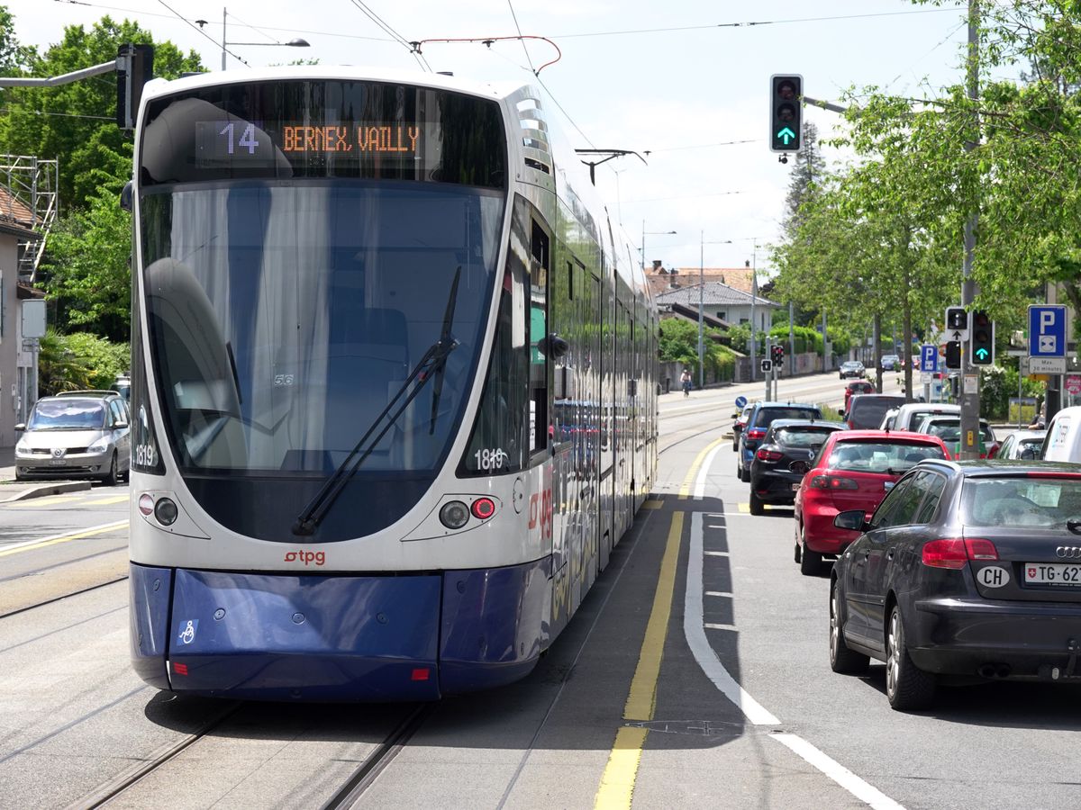 Un tram de la ligne 14 avec l'inscription 'BERNE ZyKL' en direction, circulant sur une voie ferrée à côté de voitures stationnées, entouré de verdure et de bâtiments.