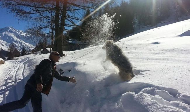 Von so viel Schnee können wir in den tieferen Lagen der Schweiz gerade nur träumen.