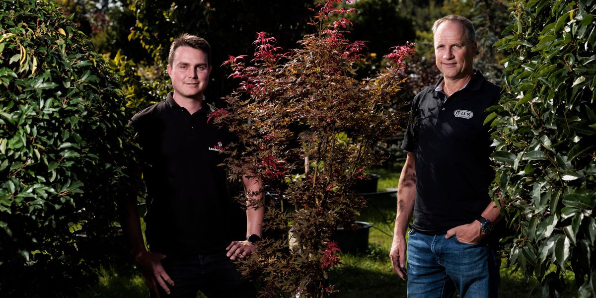 Heggidorn AG: Tree nursery researches sponge city with ETH Zurich