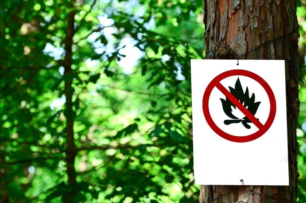 Vaud interdit les feux en forêt