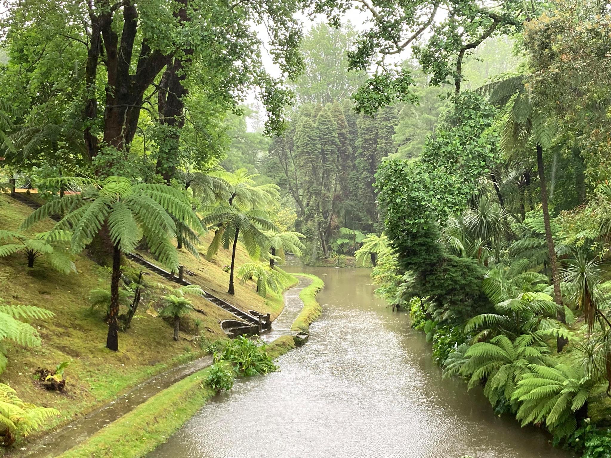 Le jardin botanique de Terra Nostra est un havre de verdure exceptionnel, dont l’existence remonte au XVIIIe siècle.