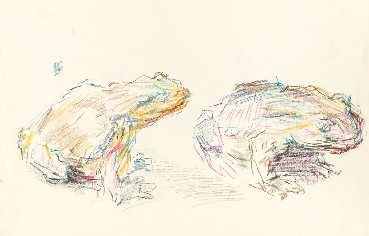 Deux grenouilles saisies par l'artiste Oskar Kokoschka.