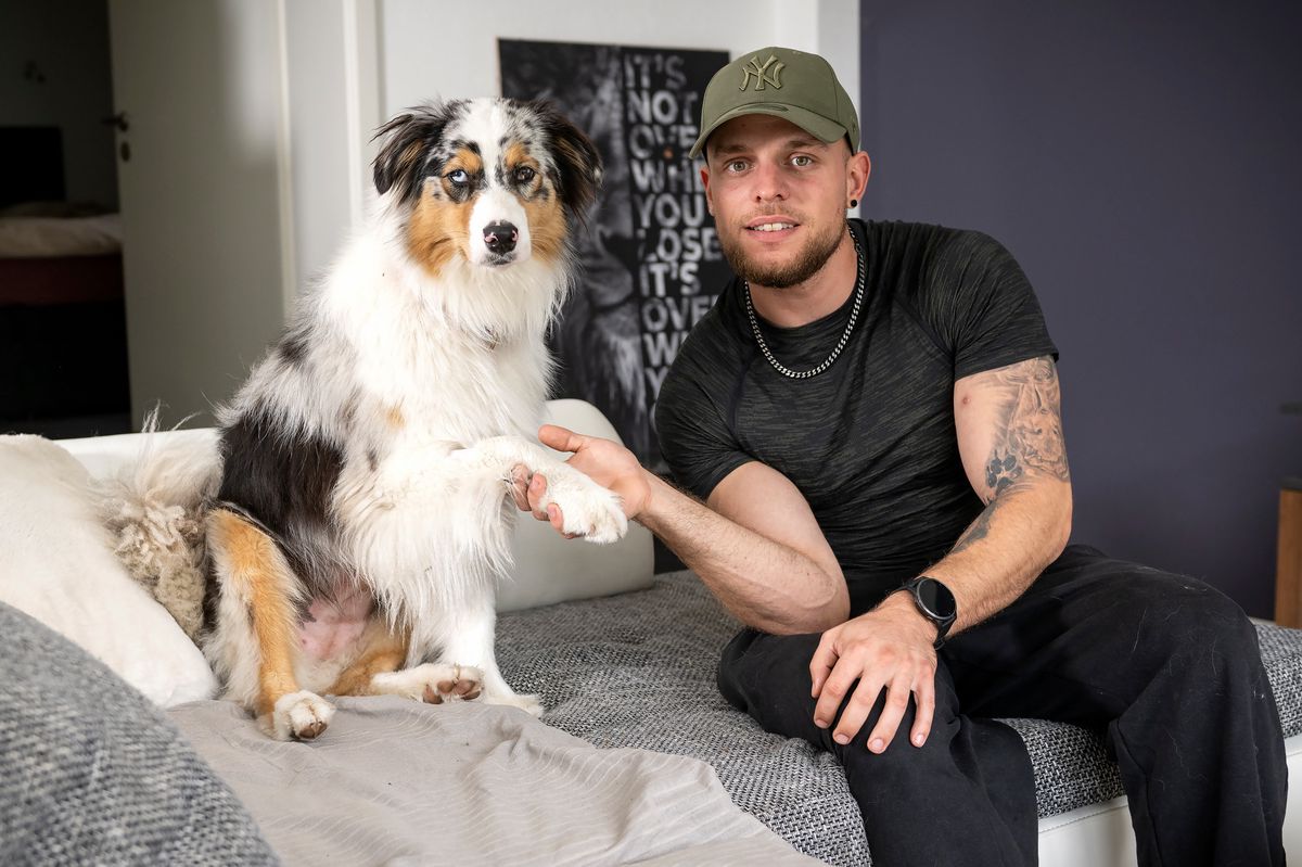 Pour la vétérinaire Florence Mugneret-Werts, il est impossible que Tayla ait ingéré ces lames par hasard.