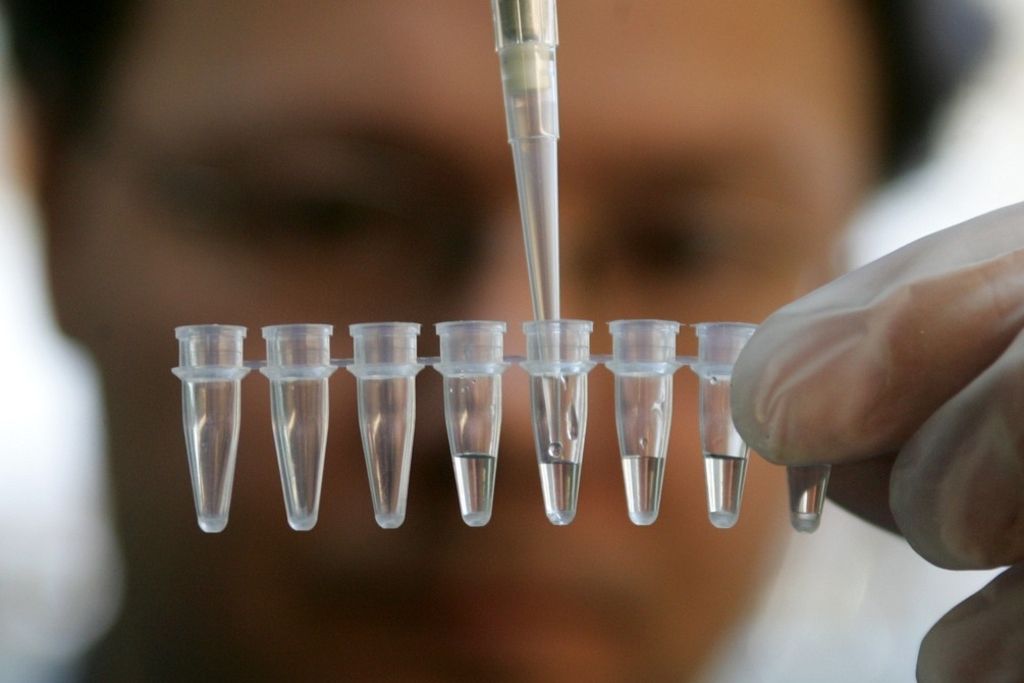 Il n'existe pas de «gène gay»