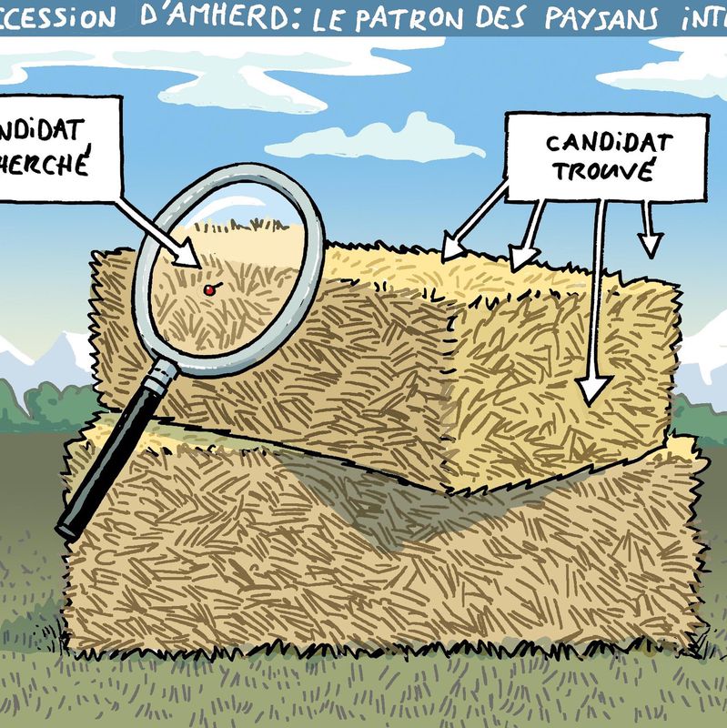Caricature d’une pile de foin avec deux pancartes, l’une indiquant ’candidat recherché’ avec une loupe et l’autre ’candidat trouvé’ pointant vers le foin. Texte en haut : ’Succession d’Amherd : le patron des paysans intéressé’.
