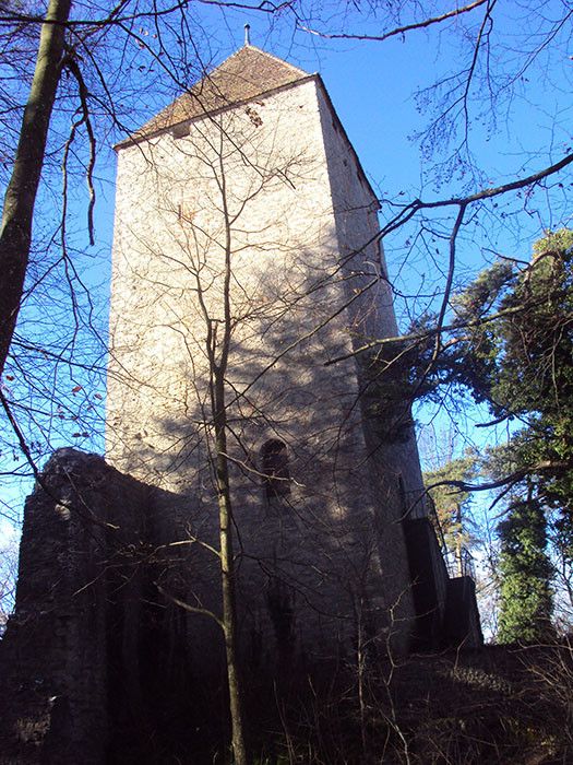 Animations médiévales à la Tour de la Molière