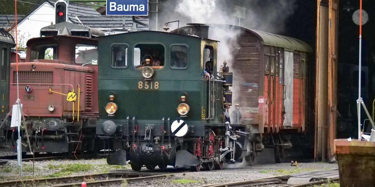 Flood Bauma 1876：Steam Railway Clubは貨物車の歴史を示しています