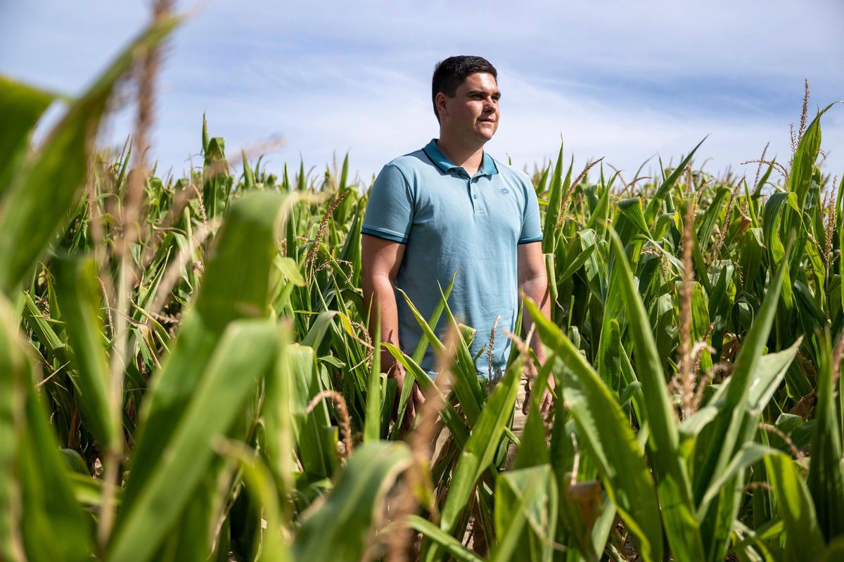 Vuitebœuf, 24 août 2022, Steve Montandon, président des Jeunes agriculteurs vaudois. ©Florian Cella/24Heures