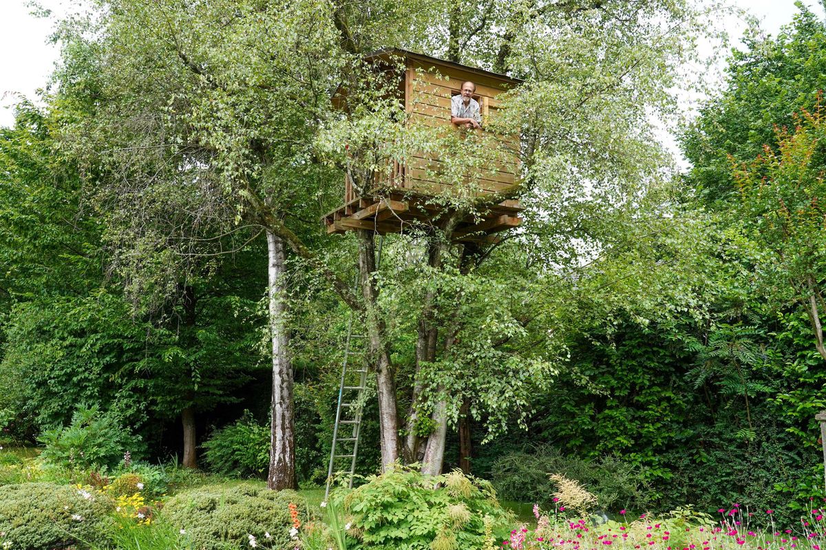 La cabane de Philippe et Lydia Velay, dans un bouleau.