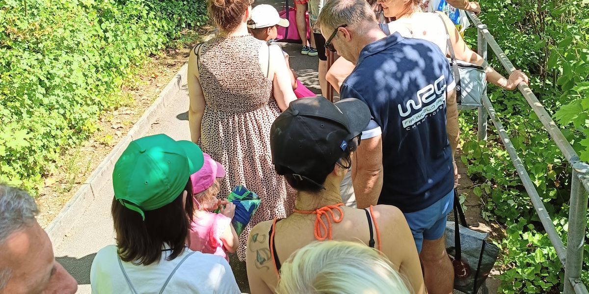 Gartenbad-Reinach-Menschen-stehen-nach-Wiederer-ffnung-fast-eine-Stunde-lang-Schlange