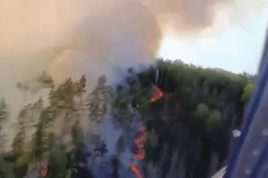 Flammen im Nationalpark: 500 Einsatzkräfte kämpfen gegen Waldbrand in Tschechien